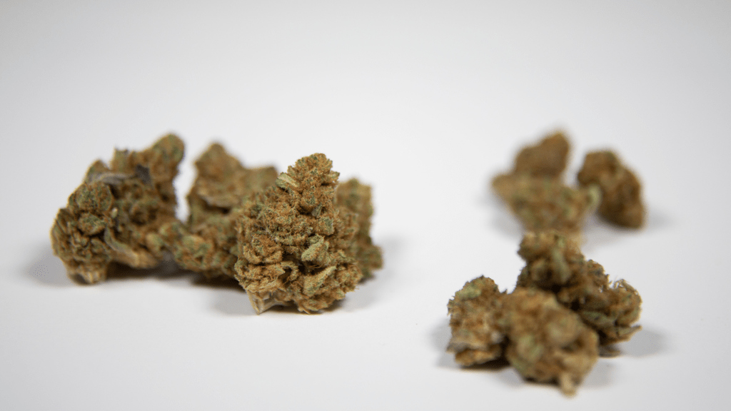 Legalization Shockwaves: How New Markets Strain Supply